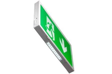 REX EXIT BOX