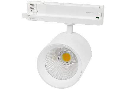 Lumi L CCT